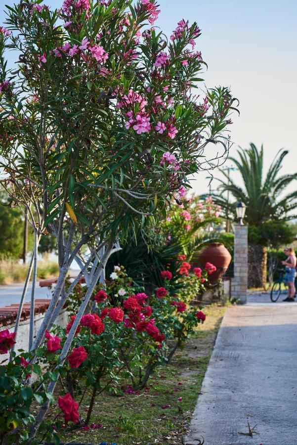 Kalloni Bay Skala Kallonis Extérieur photo
